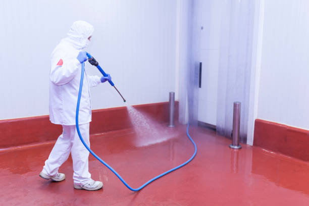 Best Sidewalk and Walkway Pressure Cleaning in Leon Valley, TX