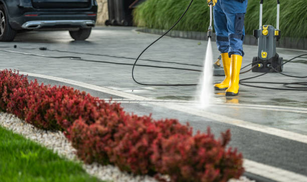 Best Soft Washing for Delicate Surfaces in Leon Valley, TX